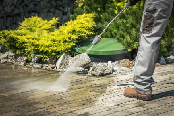 Best Pre-Holiday Cleaning  in Bal Harbour, FL